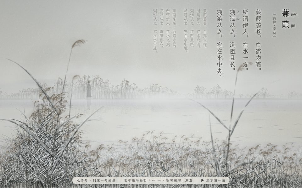 蒹葭 · 《诗经》课件画面